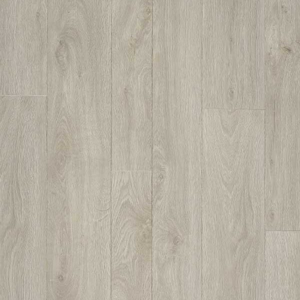 Glorious - Jazz XXL Light Grey B1004