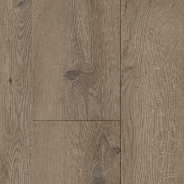 Glorious - Gyant XL Dark-Brown B1113