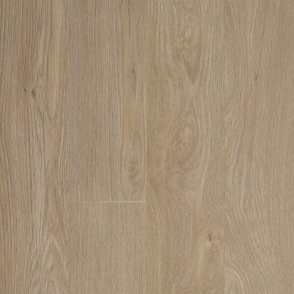 Glorious Small - Jazz XXL Natural_B1007