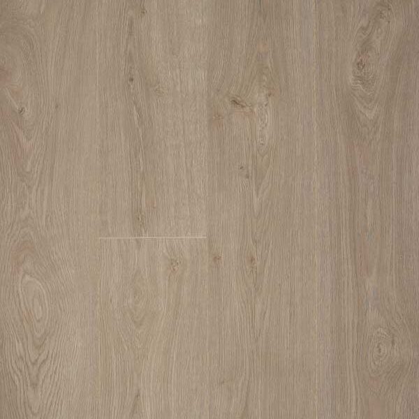Glorious XL - Jazz XXL Natural_B1007