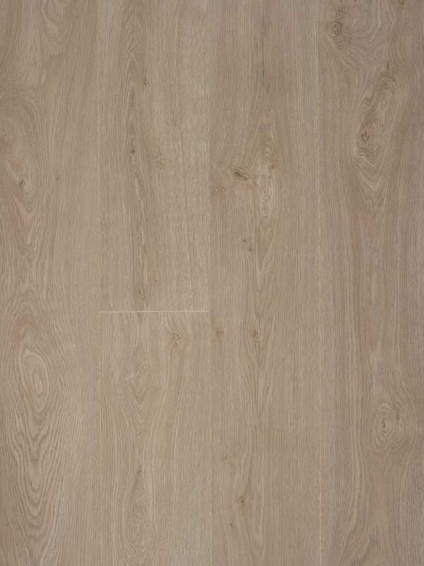 Glorious-XL-Jazz-XXL-Natural_B1007.jpg